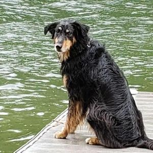 Meet your Posher, Renee